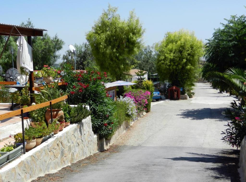 Camping Totana Park Exterior foto